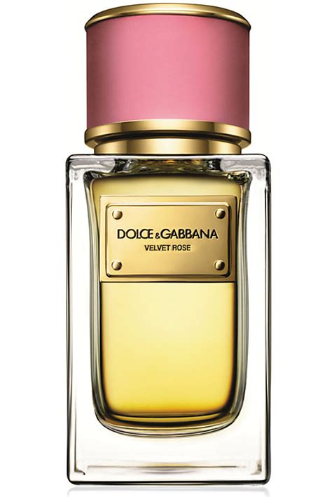 buy dolce and gabbana perfume online|dolce and gabbana unisex fragrance.